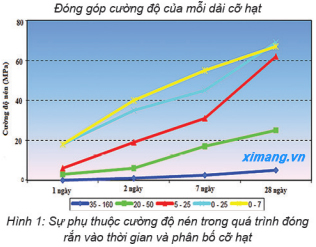 doithuong247