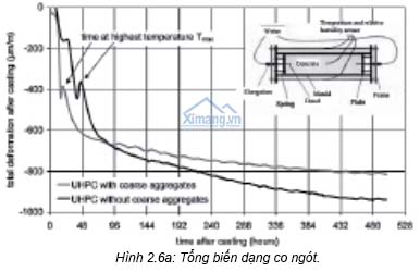 doithuong247